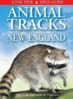 Image for Animal Tracks of New England