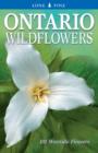 Image for Ontario Wildflowers