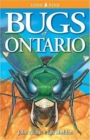 Image for Bugs of Ontario