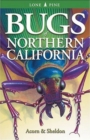 Image for Bugs of Northern California