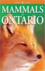 Image for Mammals of Ontario