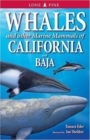 Image for Whales and other marine mammals of California and Baja