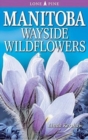 Image for Manitoba Wayside Wildflowers