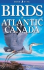 Image for Birds of Atlantic Canada