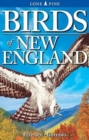 Image for Birds of New England