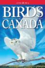 Image for Birds of Canada