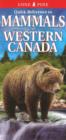 Image for Quick Reference to Mammals of Western Canada