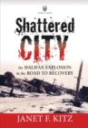 Image for Shattered City