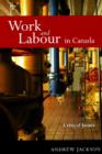 Image for Work and Labour in Canada : Critical Issues