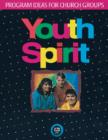 Image for Youth Spirit : Program Ideas for Church Groups