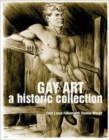 Image for Gay art  : a historic collection