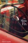 Image for The slow fix  : stories