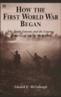 Image for How The First World War Began