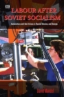 Image for Labour after the Soviet Union  : workers, unions, and their future