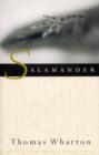 Image for Salamander