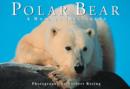 Image for Polar Bear : A Book of Postcards