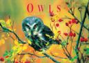 Image for Owls : A Book of Postcards