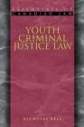 Image for Youth Criminal Justice Law