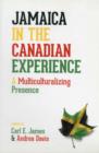 Image for Jamaica in the Canadian Experience : A Multiculturalizing Presence