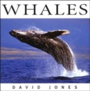 Image for Whales