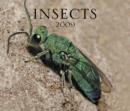 Image for Insects 2009 Calendar