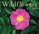 Image for Wildflowers 2009 Calendar