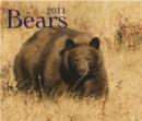 Image for Bears 2011 Calendar