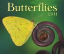 Image for Butterflies 2011 Calendar