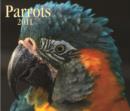 Image for Parrots 2011 Calendar
