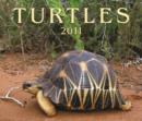 Image for Turtles 2011 Calendar