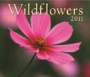 Image for Wildflowers 2011 Calendar