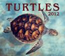 Image for Turtles 2012 Calendar