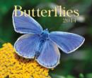 Image for Butterflies 2014 Calendar
