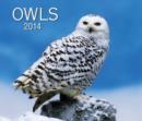 Image for Owls 2014 Calendar