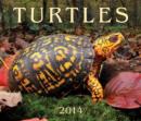 Image for Turtles 2014 Calendar