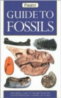 Image for Philip&#39;s Guide to Fossils