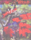 Image for Maples