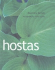 Image for Hostas