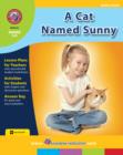 Image for Cat Named Sunny (Novel Study)