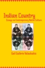 Image for Indian country: essays on contemporary native culture