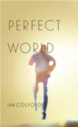 Image for Perfect World