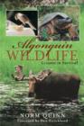 Image for Algonquin Wildlife: Lessons in Survival