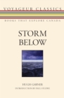 Image for Storm Below