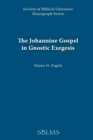 Image for Johannine Gospel in Gnostic Exegesis