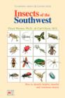 Image for Insects Of The Southwest