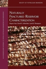 Image for Naturally Fractured Reservoir Characterization