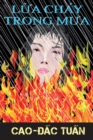Image for Fire in the Rain: Vietnamese Language Version