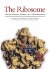 Image for The ribosome  : structure, function, antibiotics and cellular interactions