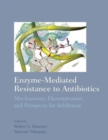 Image for Enzyme-Mediated Resistance to Antibiotics