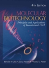 Image for Molecular Biotechnology
